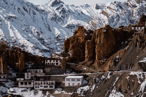 Untitled design - 2023-05-10T185030.424