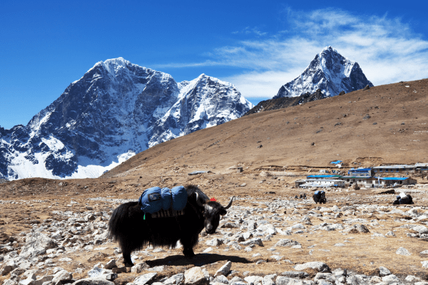 Untitled design - 2023-05-10T185100.013