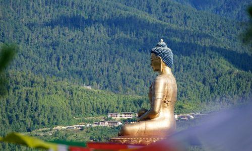 Untitled design - 2023-06-12T144422.108