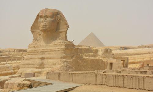 Untitled design - 2023-06-12T145243.836