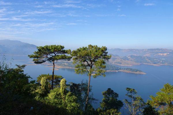 Untitled design (35)