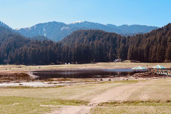 Untitled design (42)