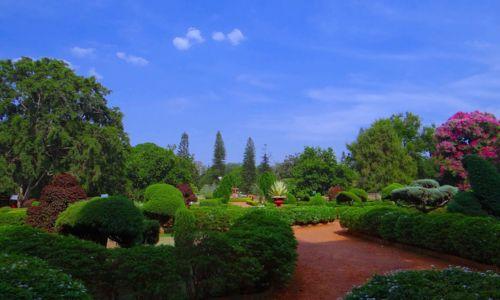 Untitled design (56)