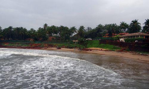 Untitled design (61)