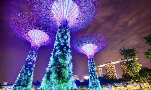 Untitled design (69)