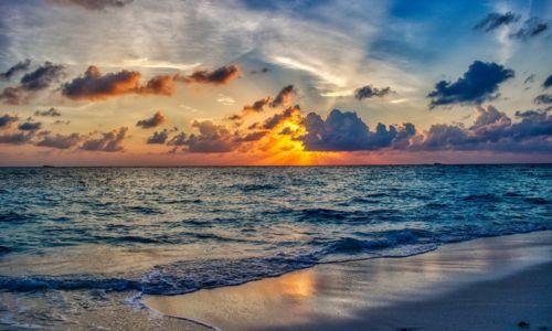 Untitled design (70)