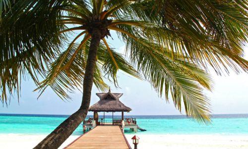 Untitled design (71)