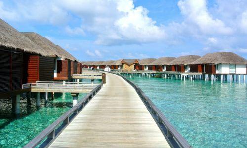 Untitled design (72)