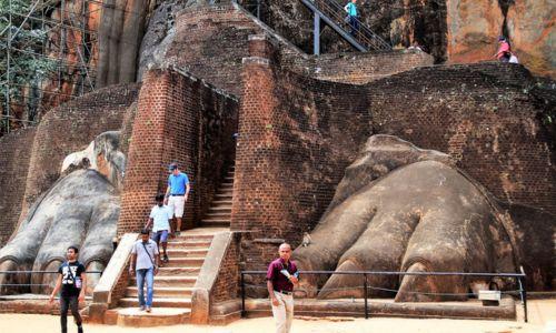 Untitled design (74)