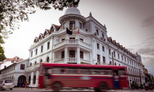 Untitled design (75)