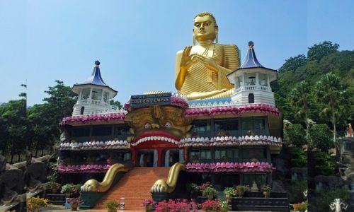 Untitled design (76)