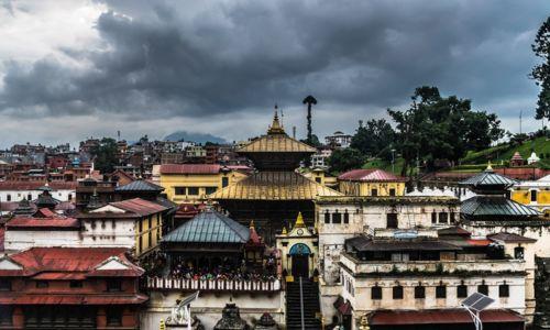 Untitled design (83)