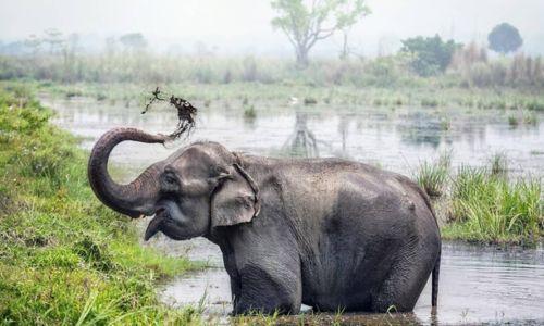 Untitled design (85)