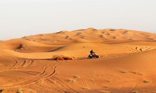 Untitled design (92)